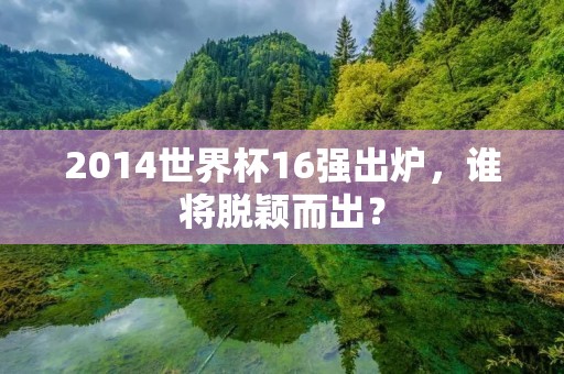 2014世界杯16强出炉，谁将脱颖而出？