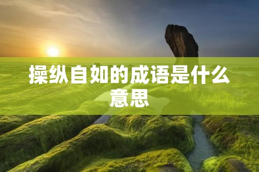 操纵自如的成语是什么意思