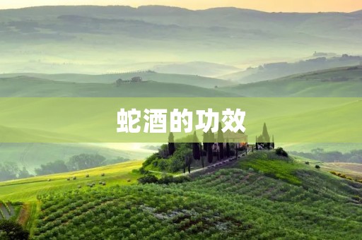 蛇酒的功效:中药酒中的珍品 蛇酒的功效:中药酒中的珍品