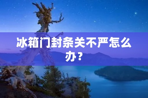 冰箱门封条关不严怎么办? 冰箱门封条关不严怎么办?
