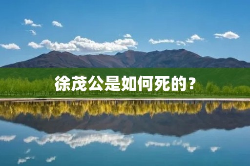 徐茂公是如何死的?