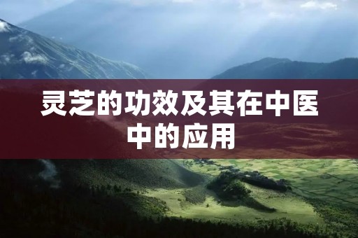 灵芝的功效及其在中医中的应用
