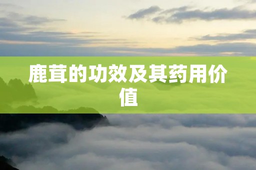 鹿茸的功效及其药用价值