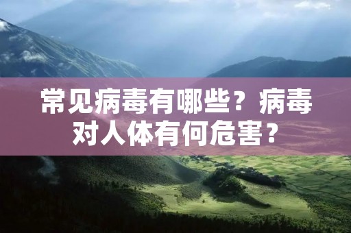常见病毒有哪些？病毒对人体有何危害？