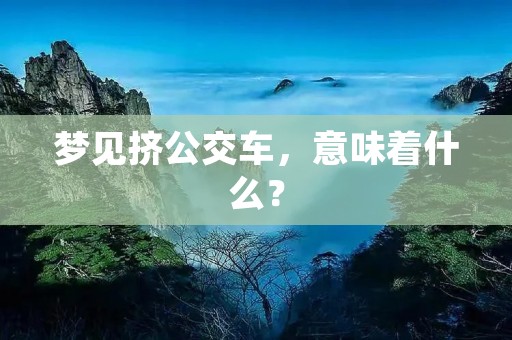 梦见挤公交车，意味着什么？