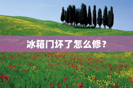 冰箱门坏了怎么修? 冰箱门坏了怎么修?