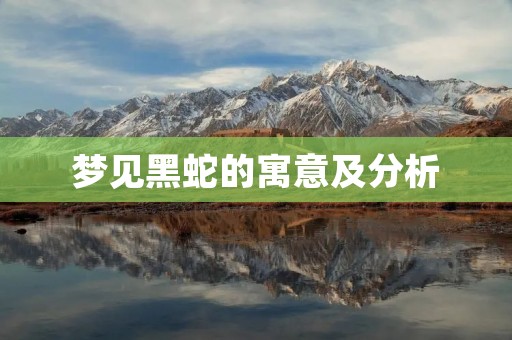 梦见黑蛇的寓意及分析