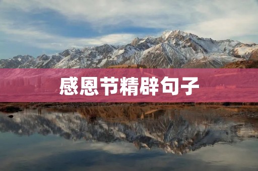 感恩节精辟句子