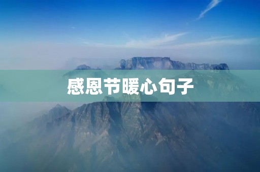 感恩节暖心句子：让我们一起感恩这个美好的节日