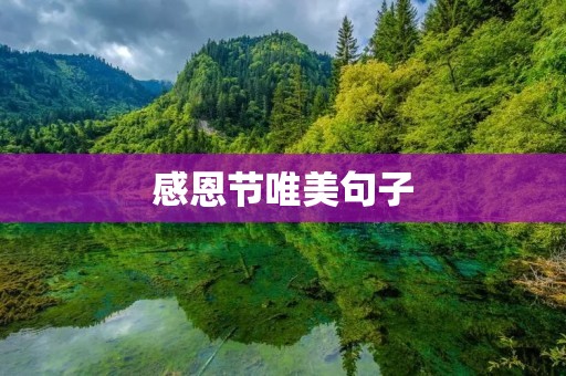 感恩节唯美句子