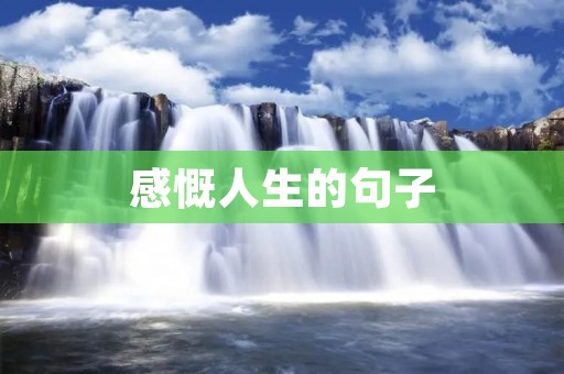 感慨人生的句子