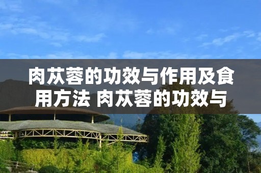 肉苁蓉的功效与作用及食用方法 肉苁蓉的功效与作用及食用方法禁忌