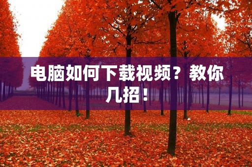 电脑如何下载视频?教你几招! 电脑如何下载视频?教你几招!