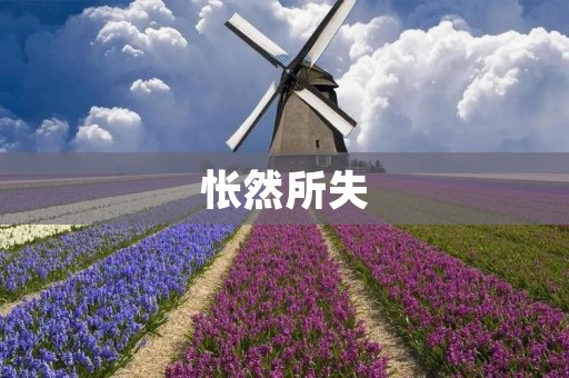 怅然所失:寻找失落的记忆