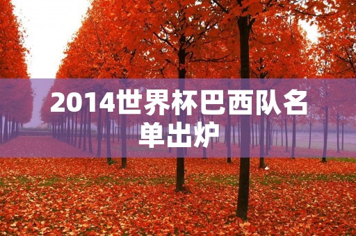 2014世界杯巴西队名单出炉:内马尔领衔,老将卡卡入选 2014世界杯巴西队名单出炉:内马尔领衔,老将卡卡入选