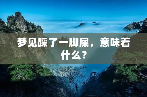梦见踩了一脚屎，意味着什么？