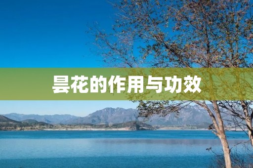 昙花的作用与功效