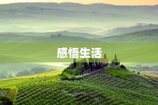 感悟生活：用心生活，发现美好