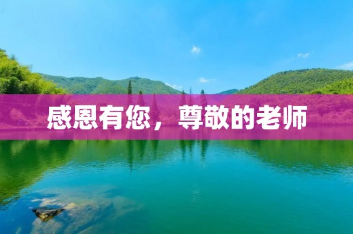 感恩有您,尊敬的老师