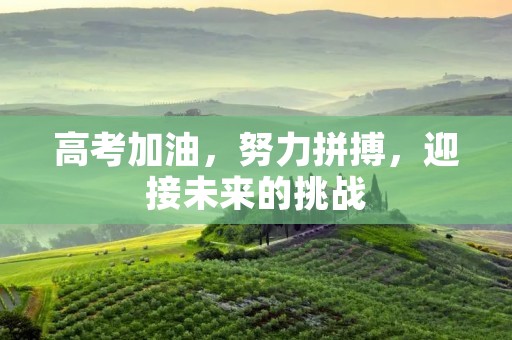 高考加油,努力拼搏,迎接未来的挑战