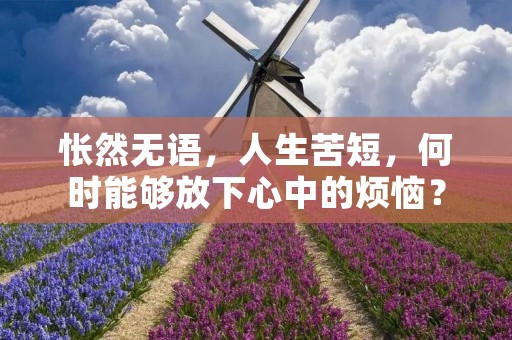 怅然无语,人生苦短,何时能够放下心中的烦恼? 怅然无语,人生苦短,何时能够放下心中的烦恼?