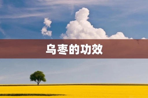 乌枣的功效：健康的黄金果实