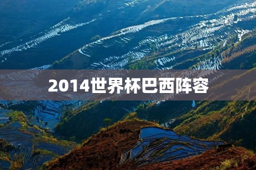 2014世界杯巴西阵容:内马尔领衔,弗雷德出战 2014世界杯巴西阵容:内马尔领衔,弗雷德出战