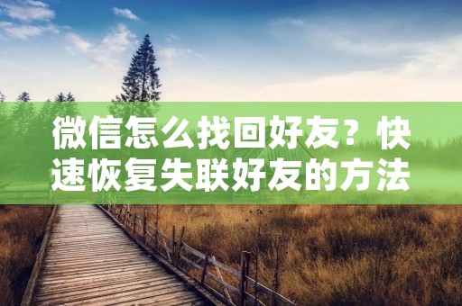 微信怎么找回好友?快速恢复失联好友的方法 微信怎么找回好友?快速恢复失联好友的方法