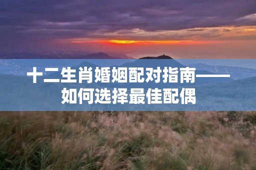 十二生肖婚姻配对指南——如何选择最佳配偶