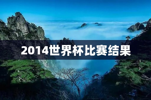 2014世界杯比赛结果：德国夺冠，阿根廷亚军