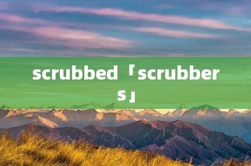 scrubbed「scrubbers」