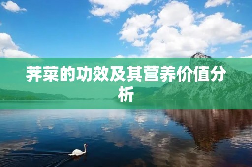 荠菜的功效及其营养价值分析 荠菜的功效及其营养价值分析