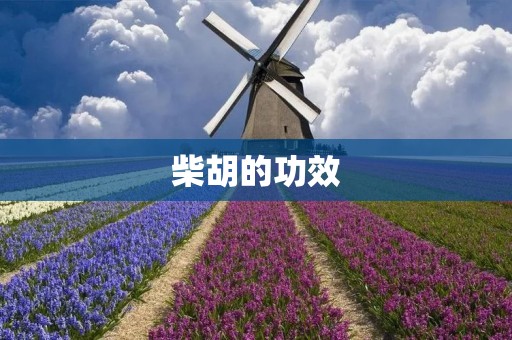 柴胡的功效：缓解肝郁气滞，清热解毒，治疗多种疾病