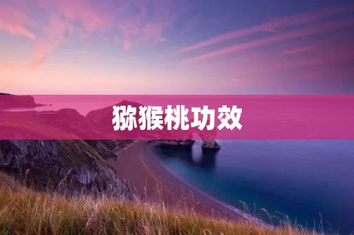 猕猴桃功效:丰富的营养价值和多种健康益处 猕猴桃功效:丰富的营养价值和多种健康益处