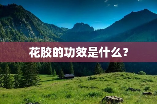 花胶的功效是什么？