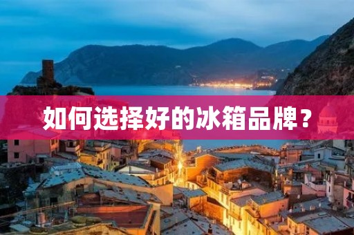 如何选择好的冰箱品牌？