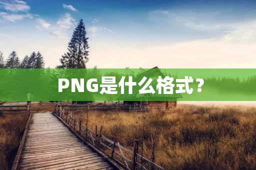  PNG是什么格式？