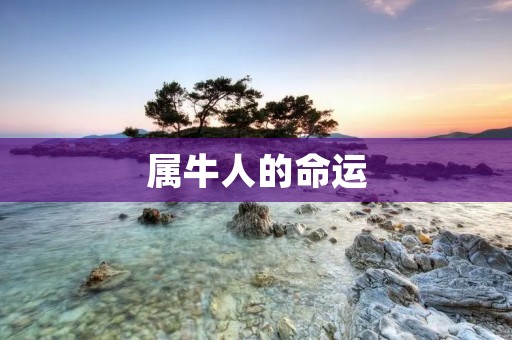 属牛人的命运：从命格到职业选择