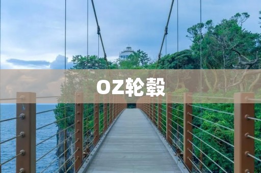 OZ轮毂:让你的爱车更具时尚感 OZ轮毂:让你的爱车更具时尚感