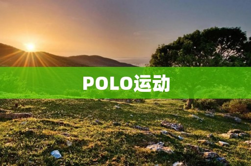 POLO运动:传统与现代的结合 POLO运动:传统与现代的结合