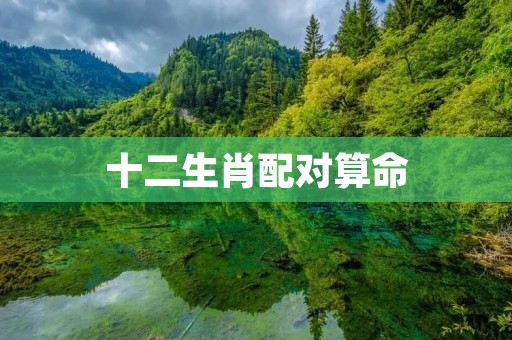 十二生肖配对算命：揭开你和另一半的命运奥秘