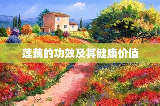 莲藕的功效及其健康价值 莲藕的功效及其健康价值