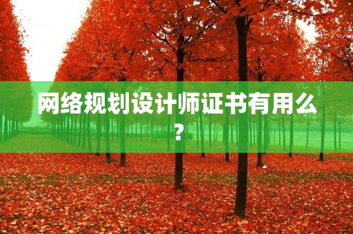 网络规划设计师证书有用么？