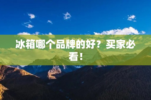 冰箱哪个品牌的好？买家必看！