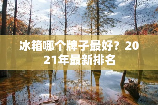 冰箱哪个牌子最好?2021年最新排名 冰箱哪个牌子最好?2021年最新排名