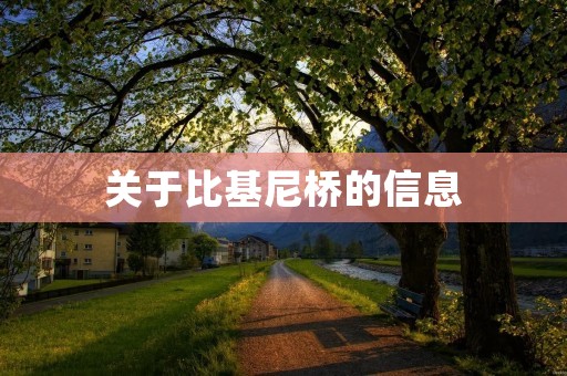关于比基尼桥的信息