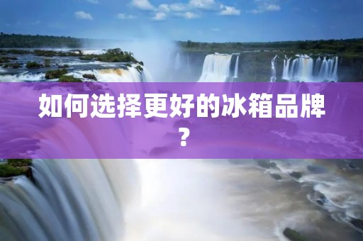 如何选择更好的冰箱品牌? 如何选择更好的冰箱品牌?