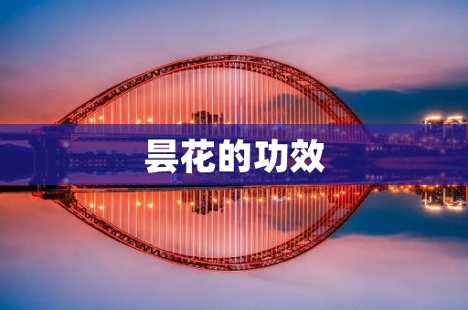 昙花的功效 昙花的功效