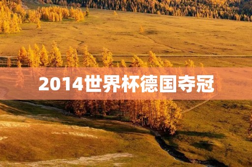 2014世界杯德国夺冠：历史性的胜利