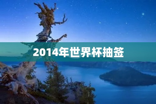 2014年世界杯抽签：抽签结果对各队实力的影响